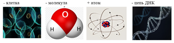 вопрос теста Атом