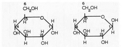 вопрос теста Альфа форма глюкозы и бетта форма глюкозы