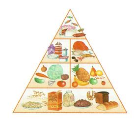 вопрос теста Пищевая пирамида