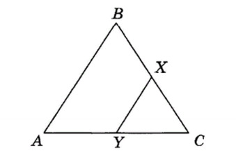 вопрос теста Подобие треугольников. 8 класс. Задание 14